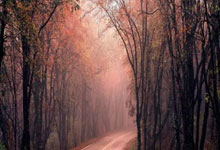 B体育:2022東亞杯賽程表.