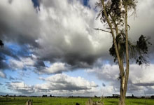 官方:中甲陜西長安競技宣布王寶山成為球隊新帥.