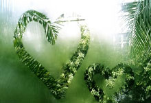 【英超27轮】布莱顿VS伯恩茅斯比分推荐 主队状态回暖,盼争取3连胜.